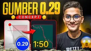The Secret Fibonacci 0.29 Level | Gumber 0.29 Concept