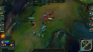 Fiora Passive Bug Patch 7.18