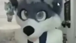 Packgod vs Omegle Furry (PARTIAL RECREATION)