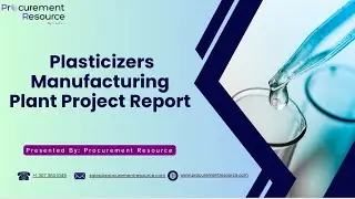 Plasticizer Manufacturing Plant Report: Market Scope, Process & ROI Analysis