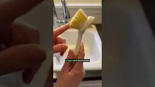 Discover the Best Sustainable Dish Brush for a Greener Future