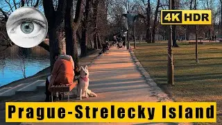 Prague walk 4k HDR: Střelecký Island (Střelecký ostrov), Legion Bridge, Czech Republic 🇨🇿 ASMR