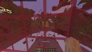 Minerware Hacker (Cubecraft Games)
