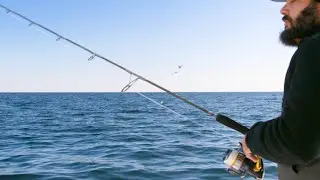 Trevala B Rod from Shimano | Field Test Favorite