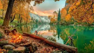 Cozy Fall Fishing by the Campfire 🍂 Piano Sounds + Lake Ambience Live