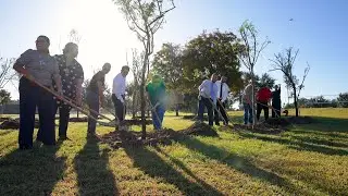 McAllen Tree Planting Ceremony to Create Another Urban Forest Inside City Limits