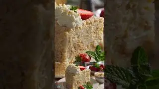 Tort Cremesnit de Craciun, desert festiv fin si cremos
