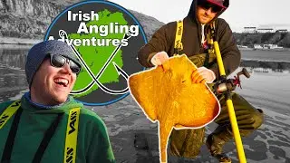 PAINTED RAY | Winter Fishing with Irish Angling Adventures