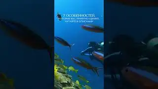 Множество семей посетили этот отель с JSP Travel, и вот 7 особенностей, которые вас приятно удивят