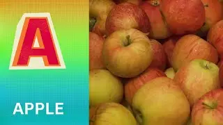 ABC Phonics Song | Alphabet letter sounds | ABC learning for toddlers | Education ABC Nursery Rhymes