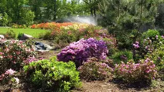 Яркие примеры благоустроенных участков / Vivid examples of beautiful and landscaped garden plots