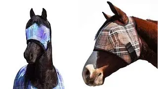 Top 5 Best Horse Fly Mask Reviews