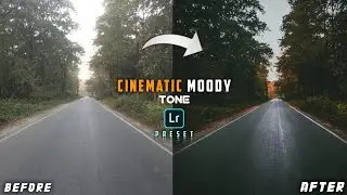 Cinematic Moody Tone | Lightroom preset | Cool effect 2021