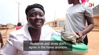 How Ibadan CBEX Investors Sold Assets, Took Loans to Fund Scheme | Punch