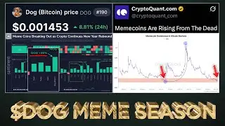 $DOG Leading Memecoin Season (Data Revealed) 🐕🚀🌖