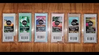 Living Colors Wax Melts Reviews from Big Lots - December 2019
