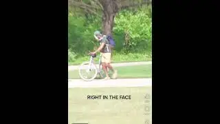 PIE IN FACE