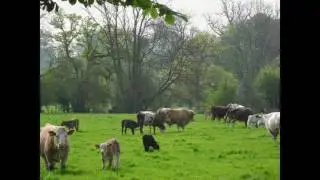 Brockham village Heart of Surrey 2016