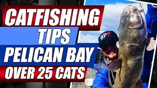 Catfish Tips Pelican Bay Utah Lake  Catfishing Tips Saratoga Springs Utah Lake fishing tips Bendoski