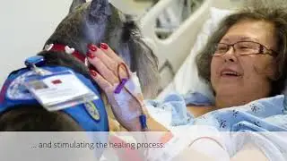 The Benefits of Pet Therapy