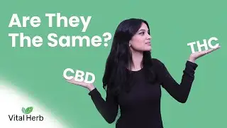 Are CBD & THC The Same? - [Vital Herb]