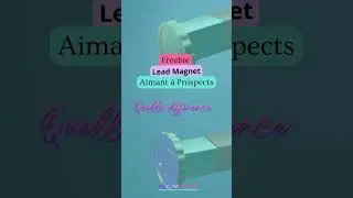 Le Grand D&eacute;cryptage des Freebie Magnet, Lead Magnet et Aimant &agrave; Prospects !  #shorts