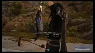FINAL FANTASY XV - Glowing Barrelfish (Record)