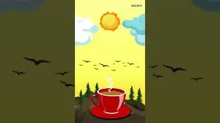 Chai remains on your side | Society Tea