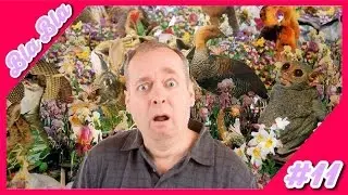 Misbruik Van Dieren? // Bla Bla #12 | JANA