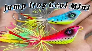 Umpan Casting Geol Mini _ Tes Action Jump Frog Geol Mini