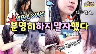 셀프컷 셀프염색 !! 얼굴 집 난리남.올리브영 염색약 + 다이소 미용가위 로... 길이도 안 맞아..엄마는 분명히 반대했다....만원의 행복 ? | 가족유튜브 모야모야패밀리