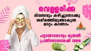Health benefits of eating cucumber daily | benefits of cucumber