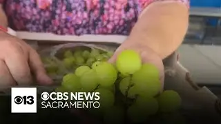 Produce deals of the week | Your Produce Man