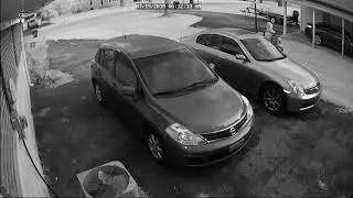Attempted car break in...
