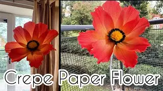 How To Make Giant Crepe Paper Flower | DIY