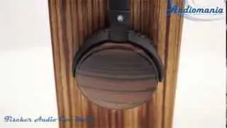 Наушники Fischer Audio Con Moto