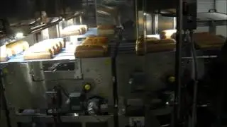 EyePro System - Bread Inspection & Rejection System with Integrated Checkweigher
