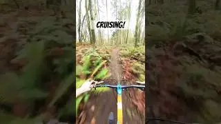 Testing my chain slap remedy at speed