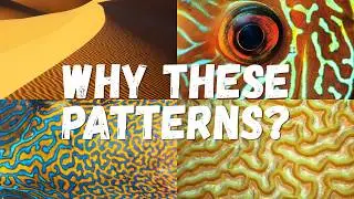 Simulating the Hidden Math Behind Nature's Patterns