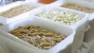 Zero Waste Festival