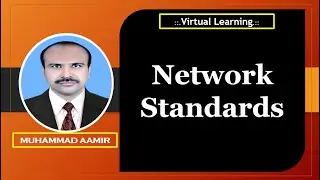 types of network standards and standard organization