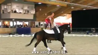Hannah Steverding (GER) - CVI2-J Female - 08 - CVI Ermelo 2016