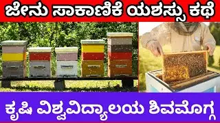 Apiary success story of hiriyur farmer in kannada 