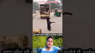 Justice for Dog 🐕🦮 ।  #444reaction #indian #justice #justicdog #Reaction #viral #videoviralシ #viralr