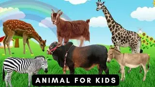 Animal Sound & Names | For Babies.| Children