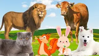 Cute little animals and animal actions: kitten, piglet, chicken, squirrel, dolphin, puppy, fish,..