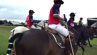 University of London Polo Club Taster Video 2016/2017