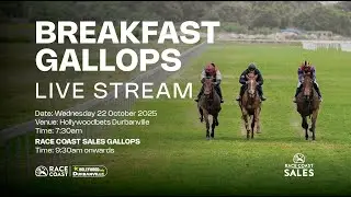 Race Coast Turf Club hosts gallops at Hollywoodbets Durbanville, 22 October 2025