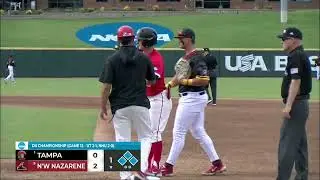 BB Highlights vs. Tampa (DII CWS - 6/4/25)