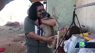 Woman reunited with pug in Sacramento 6 years after he went missing